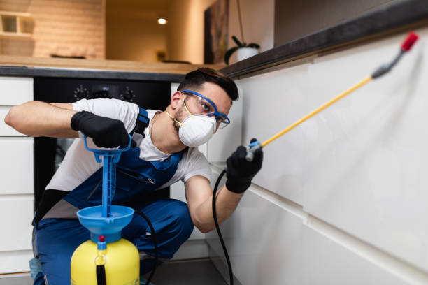 Best Emergency Pest Control  in Montague, CA