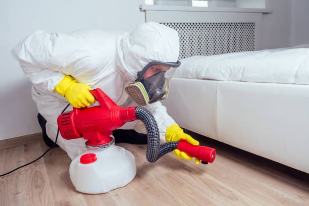 Best Local Pest Control Services  in Montague, CA