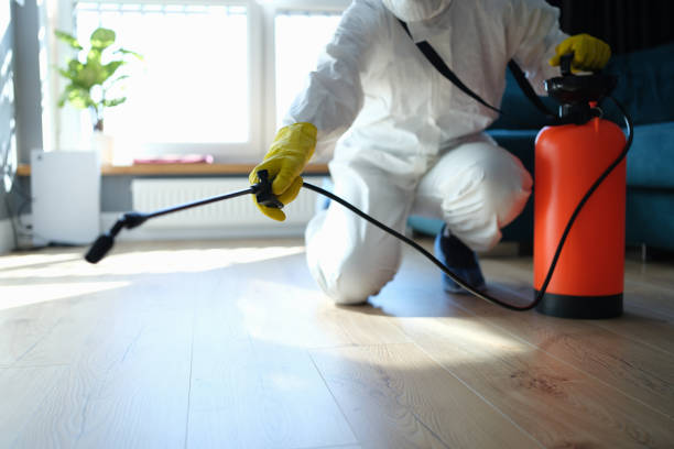 Best Mosquito Control Services  in Montague, CA