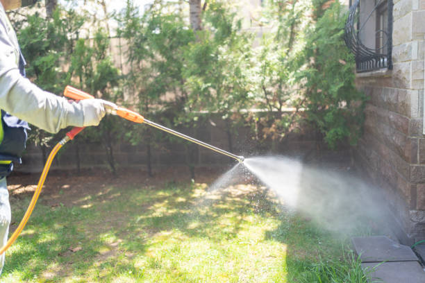 Best Ant Control Services  in Montague, CA