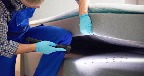 Best Flea Control Services  in Montague, CA