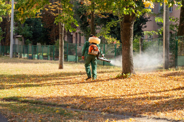 Best Residential Pest Control  in Montague, CA