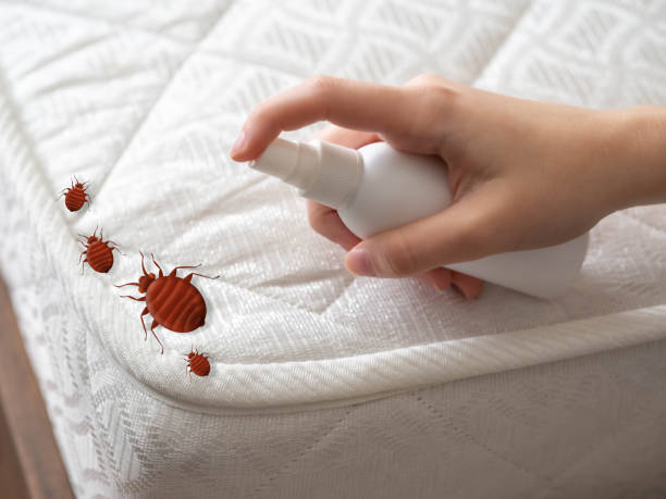 Montague, CA Pest Control Company
