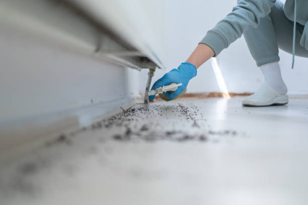 Best Best Pest Control Companies  in Montague, CA
